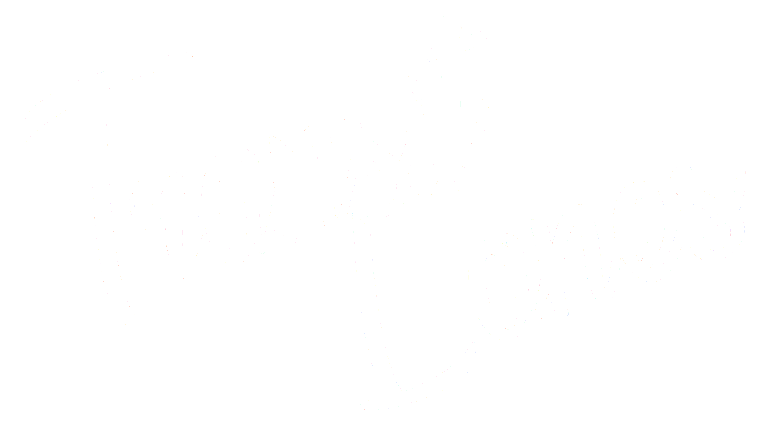 Transit Lanes Logo